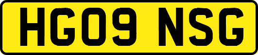 HG09NSG