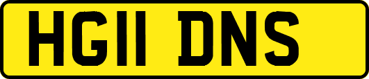 HG11DNS