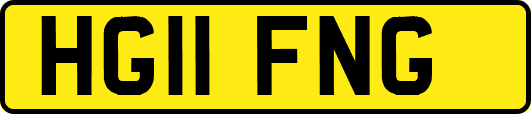 HG11FNG