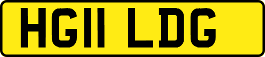 HG11LDG