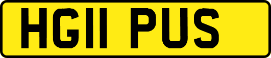 HG11PUS