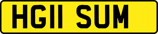 HG11SUM