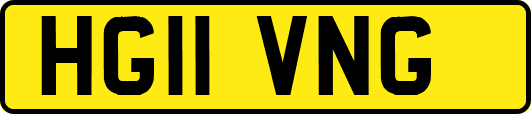 HG11VNG