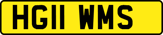 HG11WMS