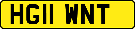 HG11WNT