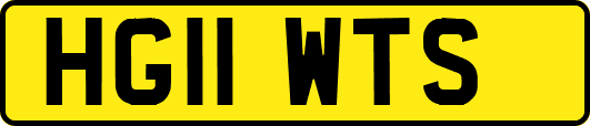 HG11WTS