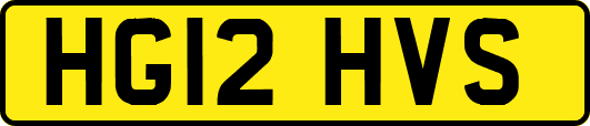 HG12HVS