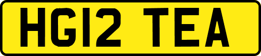 HG12TEA