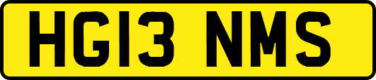 HG13NMS