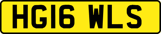 HG16WLS