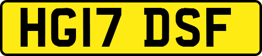 HG17DSF