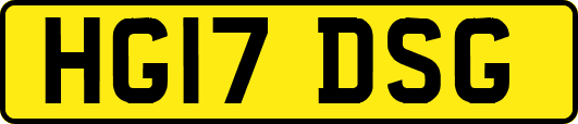 HG17DSG