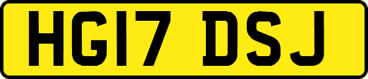 HG17DSJ