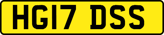 HG17DSS