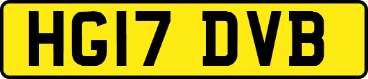HG17DVB
