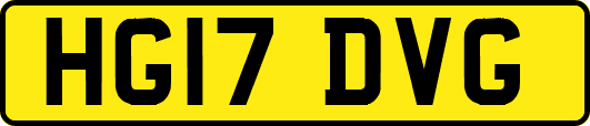 HG17DVG