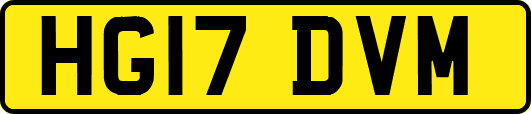 HG17DVM