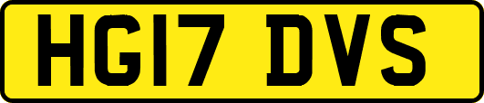 HG17DVS