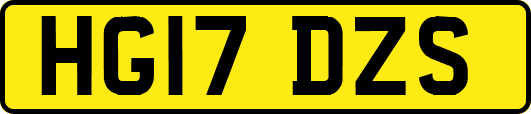 HG17DZS