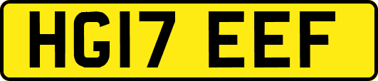 HG17EEF