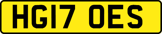 HG17OES
