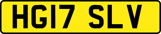 HG17SLV