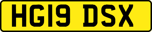 HG19DSX