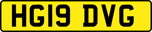 HG19DVG