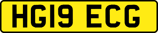 HG19ECG