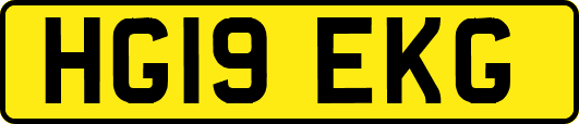 HG19EKG