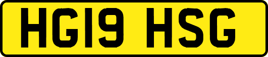 HG19HSG