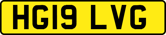 HG19LVG