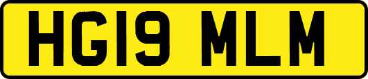 HG19MLM