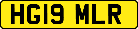 HG19MLR