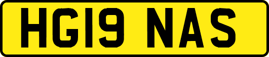 HG19NAS