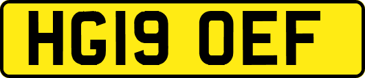 HG19OEF