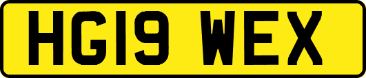 HG19WEX