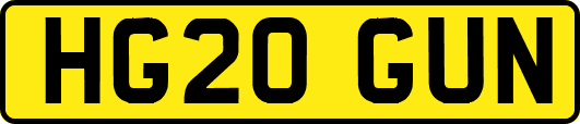 HG20GUN