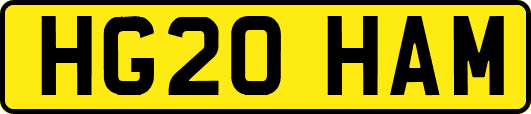HG20HAM