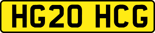 HG20HCG