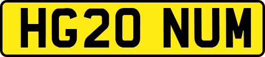 HG20NUM