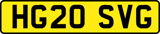 HG20SVG