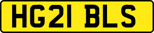 HG21BLS