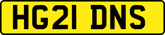 HG21DNS