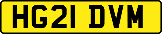 HG21DVM