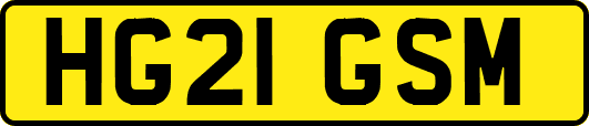 HG21GSM