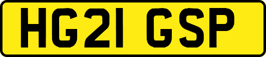 HG21GSP