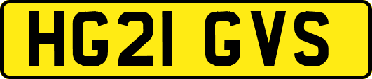 HG21GVS