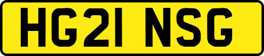 HG21NSG