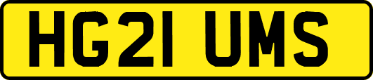 HG21UMS